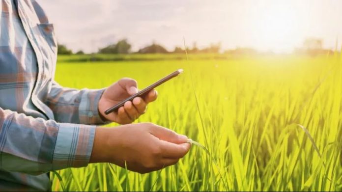 NITDA partners three varsities on digital farming