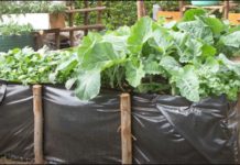 Kenya commissions water, farming projects in Nyandarua Kenya commissions water, farming projects in Nyandarua