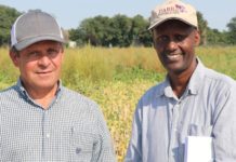 Tanzanian bean breeder working with US scientist on dry-bean, project set benefit 10 African nations