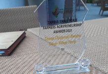 Zambia’s 2021 female farmer of the year makes strides in growing strawberries