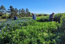 Training ensures effective crop protection