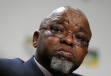 Mantashe’s point of view a setback for agricultural development
