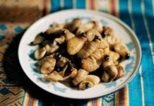 Africa to lead in insect, hydroponic farming: World Bank