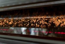 Maximizing protein’s profitability from meat, poultry, rendering, and pet food