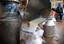 Kenya awaits Kampala talks to settle milk trade standoff Kenya awaits Kampala talks to settle milk trade standoff
