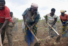 Mozambique farmers warned of possible cyclone