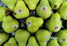 Tru-Cape cautiously optimistic about the growth China offers