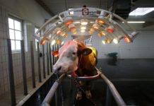 Kenya commissions Sh1 bn semen plant in Trans Nzoia County Kenya commissions Sh1 bn semen plant in Trans Nzoia County