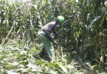 Tanzania outlines policy changes to transform agriculture Tanzania outlines policy changes to transform agriculture