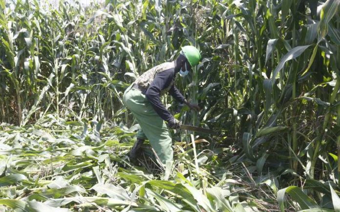 Tanzania outlines policy changes to transform agriculture