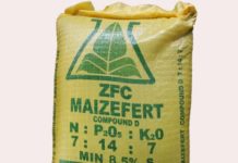 Zimbabwe farmers concerned as fertiliser shoots up again