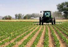 Farmers’ Rights Advocates Urge SADC Leaders to Reactivate Windhoek Tribunal LPM, Namibia seeks N$5bn for agriculture