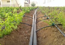 Redi project to rehabilitate irrigation systems in 3 regions in Morocco Redi project to rehabilitate irrigation systems in 3 regions in Morocco