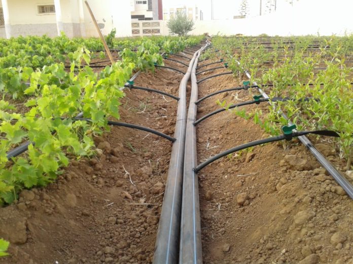 Redi project to rehabilitate irrigation systems in 3 regions in Morocco