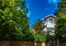 How Much Are Your Trees Really Worth?