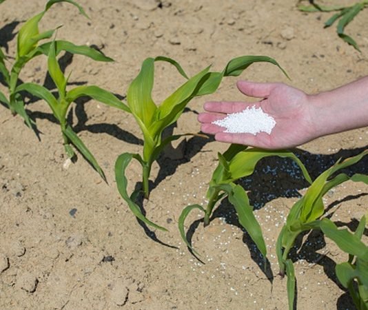 Tanzania to import dressing fertilizer Tanzania to import dressing fertilizer