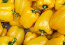 Bahamas couple moves to Rwanda to concentrate on yellow pepper farming