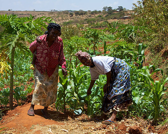 Fighting Over Farm Boundaries: A Deep-Rooted Challenge for Africa’s Smallholder Farmers KENAFF launches strategic plan to address issues affecting farmers