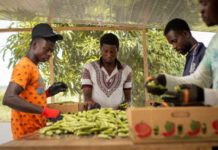 Bank of America invests in the Agri-Business Capital Fund