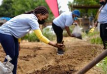 Urban Agriculture and Compost: Revitalising Degraded Urban Soils