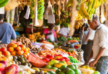 Saai Slams Mpumalanga Nutrition Sourcing Bill as a Constitutional and Economic Disaster