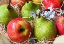 Apples, pears in South Africa recovering from drought Apples, pears in South Africa recovering from drought