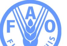 Equatorial Guinea to host UN FAO regional conference in April Equatorial Guinea to host UN FAO regional conference in April