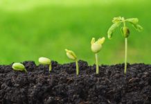 South Sudan seeks Bangladesh’s assistance in agriculture South Sudan seeks Bangladesh’s assistance in agriculture