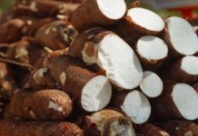 Institute, BASICS-II in talks with Tanzania on food production Institute, BASICS-II teams in talks with Tanzania on food production