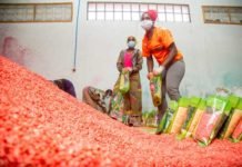 The effects of COVID-19 on local food systems and rural livelihoods