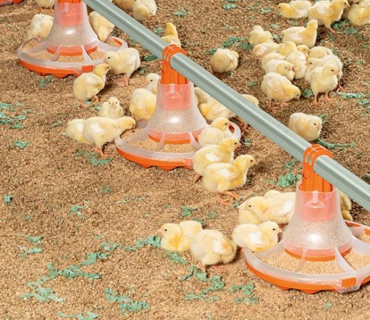 From Feedmill to Food System: VIV Europe 2026 Addresses the Industry’s Most Critical Challenges