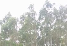 What to Expect at Major Global Biodiversity Negotiations in Geneva