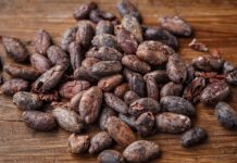 Nigeria Reps seek review of Cocoa, commodity laws Nigeria Reps seek review of Cocoa, commodity laws