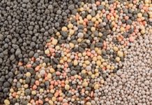 IFDC commits to make fertilizer affordable in Ghana IFDC commits to make fertilizer affordable in Ghana