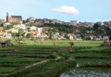 Egypt to draft law confiscating illegal buildings on agricultural land Egypt to draft law confiscating illegal buildings on agricultural land