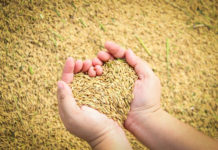 Gambia receives agricultural materials Gambia receives agricultural materials