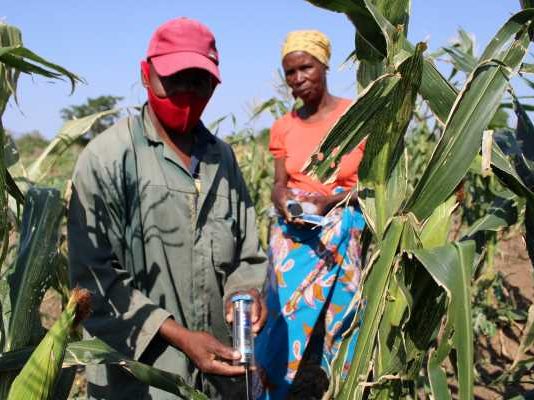 Mozambique farmers bet on water-saving tools to produce more with less