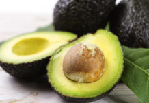 Tanzania to export avocado to India Tanzania to export avocado to India