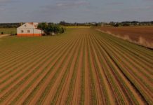 10 Things Farmers Should Consider About Tillage Methods