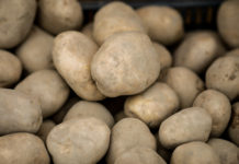 Kenya incorporates potato into Warehouse Receipt System Kenya incorporates potato into Warehouse Receipt System