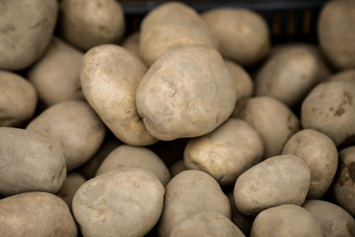 Kenya incorporates potato into Warehouse Receipt System