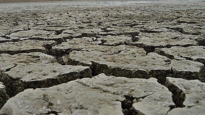 FAO appeals for US $130M for drought-hit East Africa