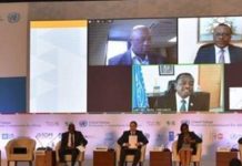 Accelerating actions towards conservation of Land, forests and Biodiversity