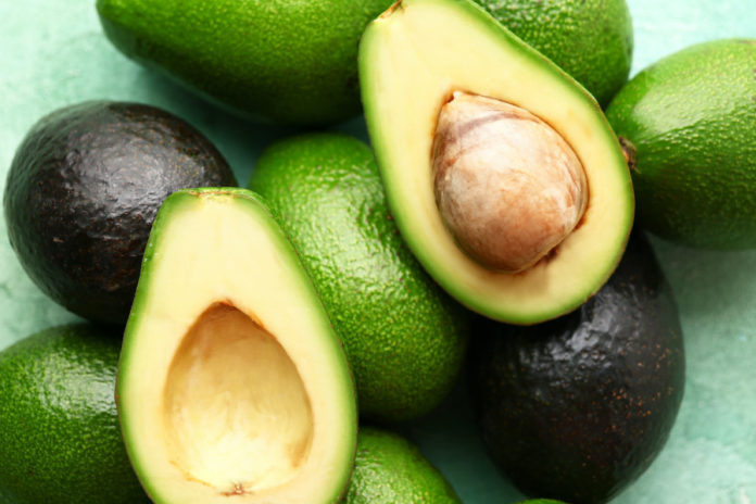 Kenya given green light to export fresh avocados to China