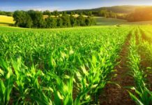 Nigeria, EU to strengthen ties on agriculture, research Nigeria, EU to strengthen ties on agriculture, research