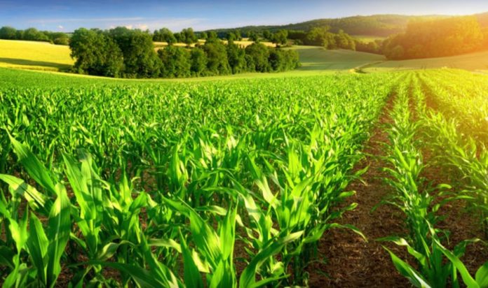 Nigeria, EU to strengthen ties on agriculture, research