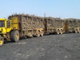 Oil analysis supports consistent productivity for farm machinery fleets