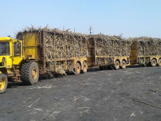 Oil analysis supports consistent productivity for farm machinery fleets