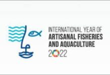 Ghana launches International Year of Artisanal Fisheries and Aquaculture Development Ghana launches International Year of Artisanal Fisheries and Aquaculture Development