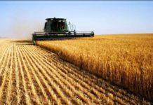 AFEX ,predicts a decline in production of grain commodities AFEX, Niger govt partner to improve agriculture productivity